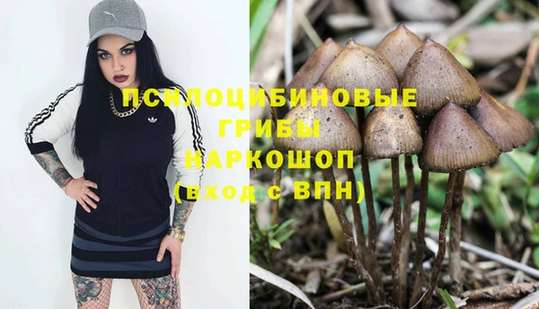 ECSTASY Арсеньев