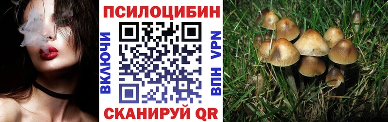 гидра сайт  Баксан  Псилоцибиновые грибы Psilocybine cubensis 