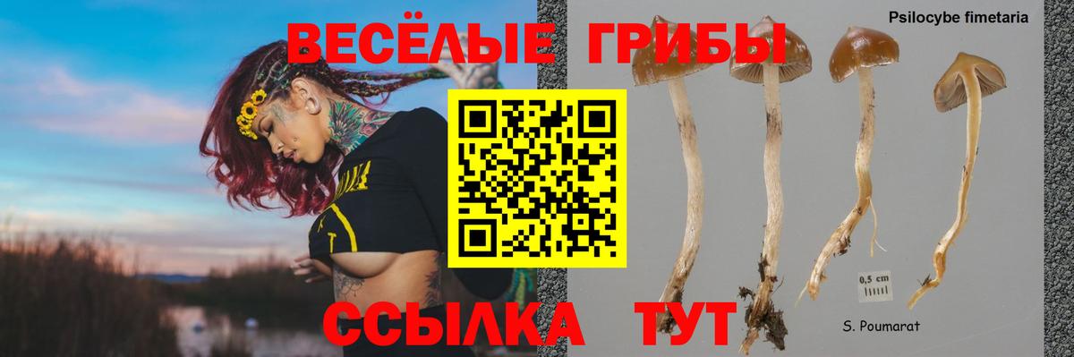 Псилоцибиновые грибы MAGIC MUSHROOMS Баксан